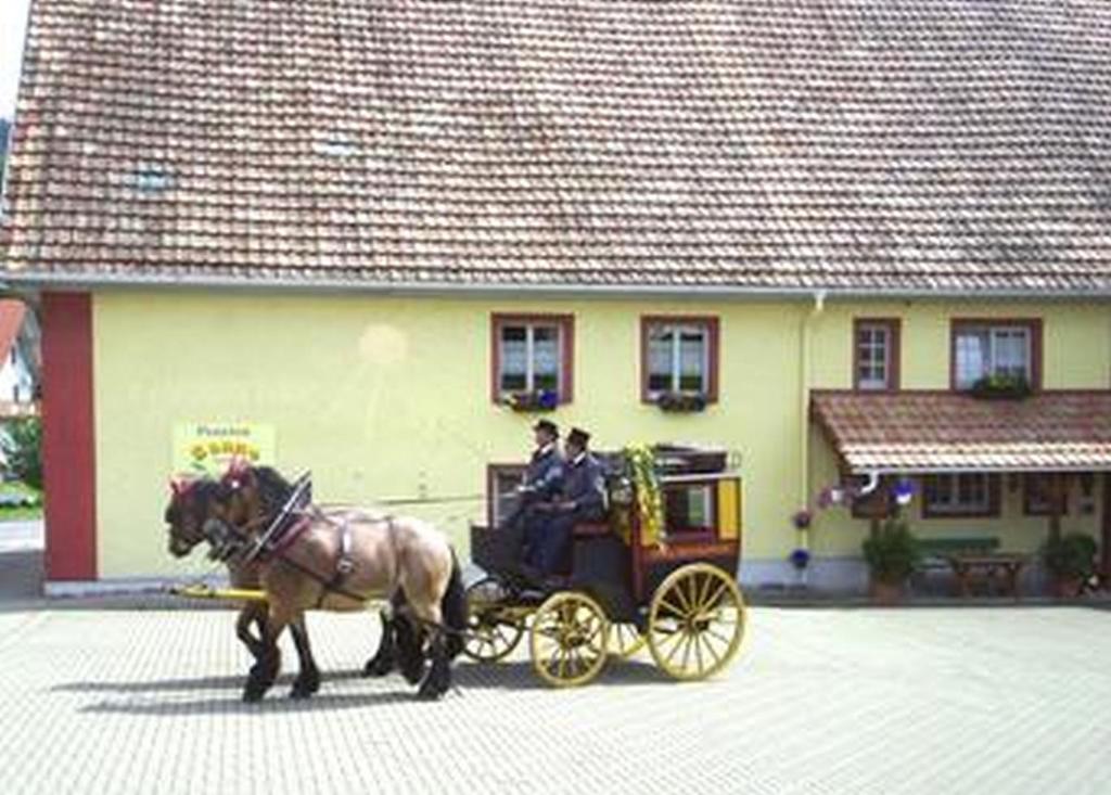 Pension Sonne Hohlgasse 1, 79736 Rickenbach
