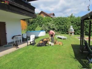 Pension Sonnleit´n - Urlaub mit Hund