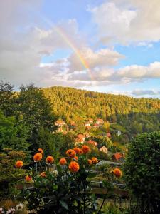 Pension Talblick Bad Grund