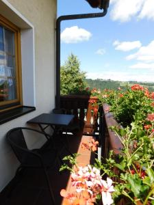 Maison d'hôtes Pension und Bauernhof Petzold 1 Oekonomenweg 07973 Greiz Thuringe