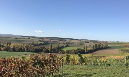 Pension und Weingut Hirschhof