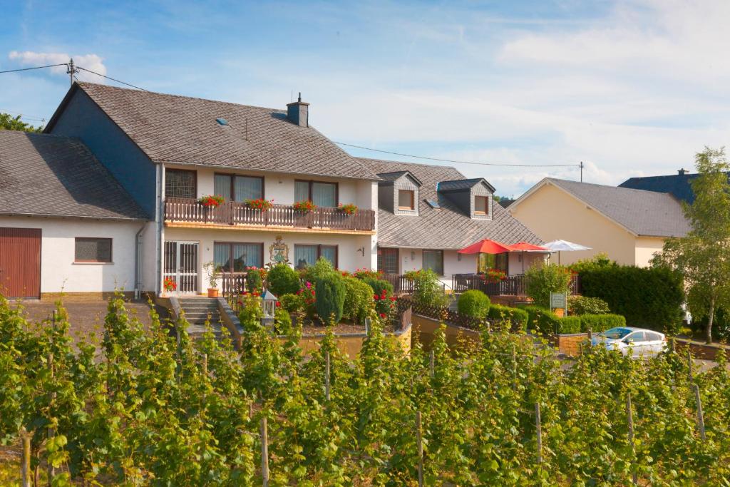 Pension und Weingut Moselblick Lindenstr. 6, 54472 Brauneberg