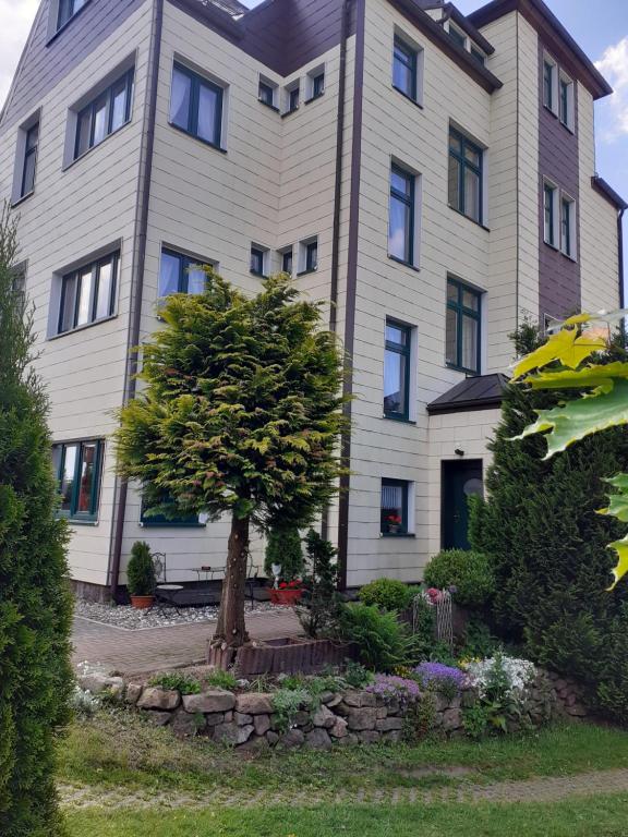 Maison d'hôtes Pension Villa Immergrün Rudolf-Breitscheid-Straße 2 98559 Oberhof