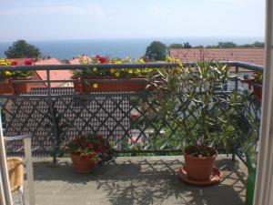 Maison d'hôtes Pension Villa Sophia Weddingstraße 38 18546 Sassnitz Mecklembourg-Poméranie