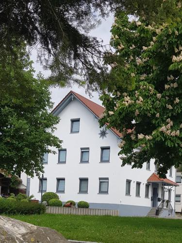 Pension zum Hecht