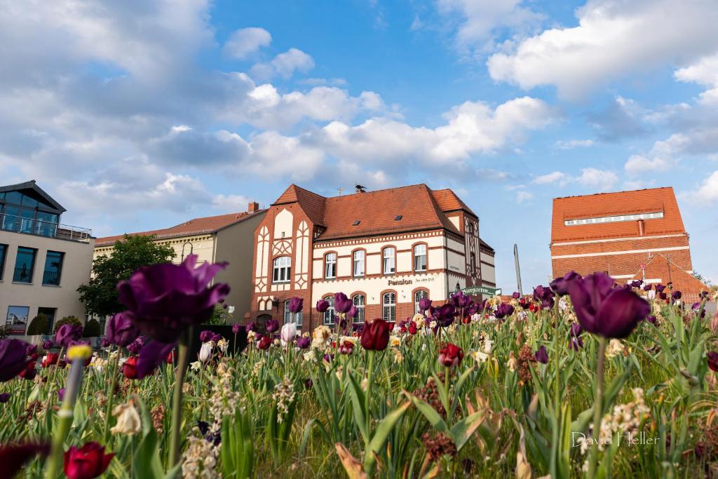 Maison d'hôtes Pension Zur Alten Post Lange Str.20A 39539 Havelberg