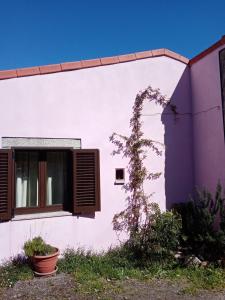 Pêssego - AL