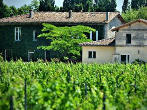 Maison d'hôtes Petit Garros Garros 33126 Fronsac Aquitaine