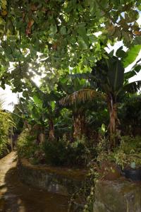 Quinta Amaro AL