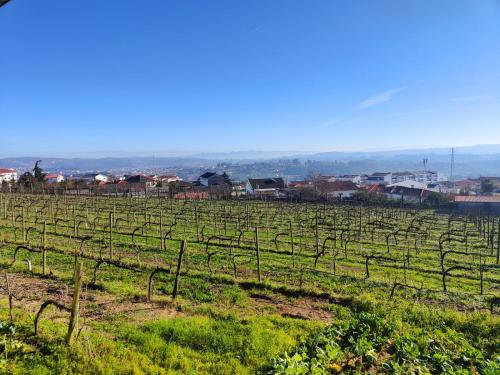 Quinta de Basto House
