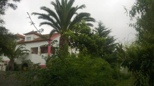 Quinta De Sao Francisco