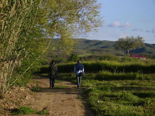 Quinta do Barracao da Vilarica