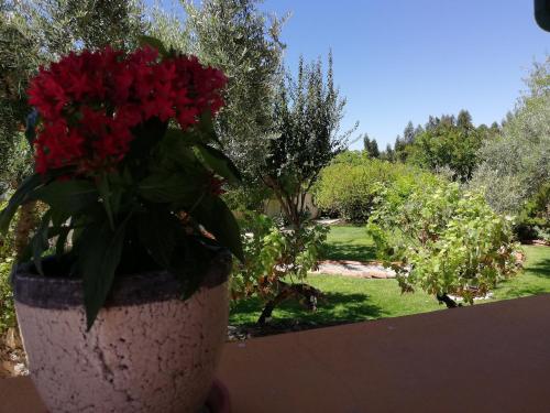 Quinta do Feonix