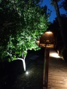 Quinta Mata da Sé