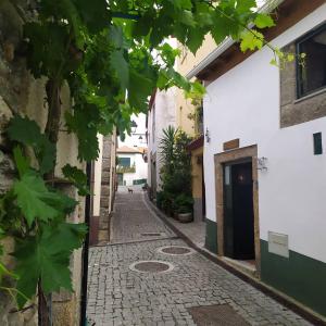 Maison d'hôtes Refugio d'Anita Douro Valley House Rua da fonte, 5 - Barcos, Tabuaço 5120-061 Barcos Région Nord