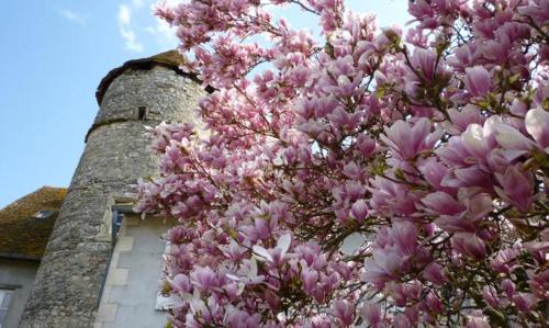 Relais de Chasse SASU GUTA
