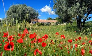 Maison d'hôtes Residence \ 256 Impasse Le Suy Camp Grenier 83780 Flayosc Provence-Alpes-Côte d\'Azur