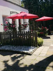 Restaurant & Pension Peking