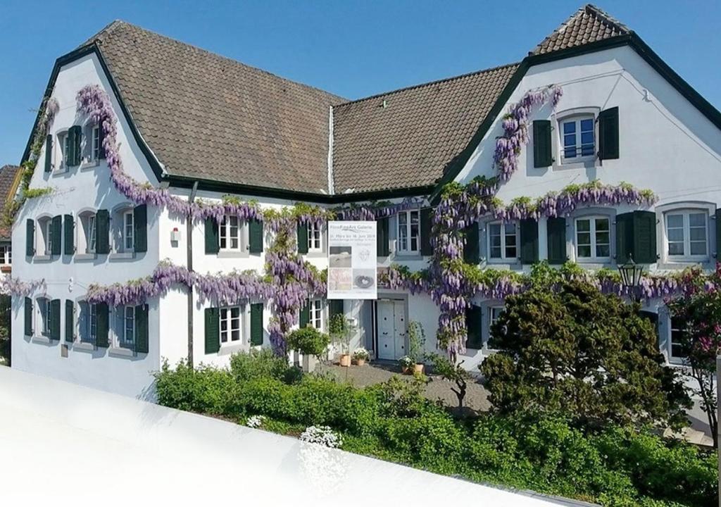 Rhein River Guesthouse - Art Hotel on the Rhine Rheinstraße 54, 51371 Leverkusen