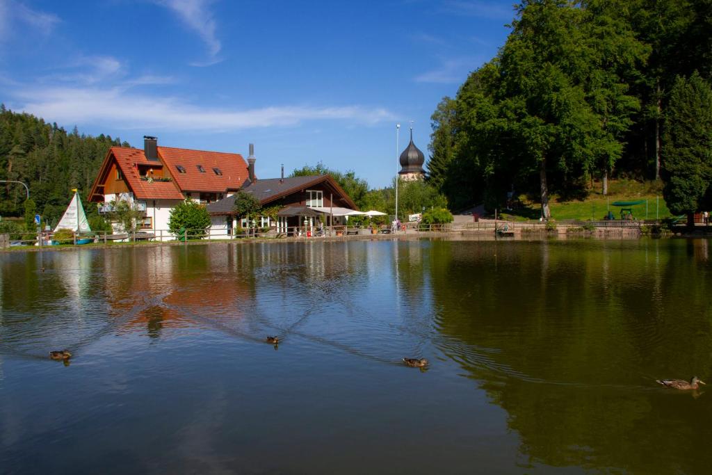 Self-check-in Ferienwohnungen & Apartments am Bergsee Clemens-Maria-Hofbauerstr. 19, 78098 Triberg im Schwarzwald