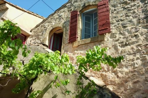 Sous le Micocoulier