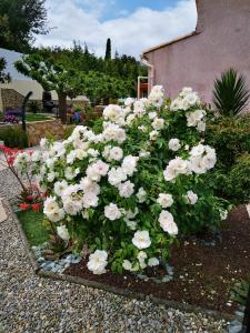 Studio 53 m2 avec piscine pour naturiste