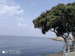 Studio Sausset les pins