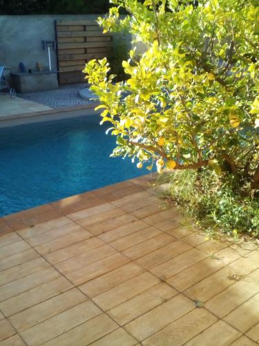 Maison d'hôtes SUITE SPA PRIVATIF extérieur 66 Perpignan Nord Chemin des Vignes 66380 Pia Languedoc-Roussillon