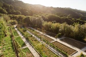 Suites by Quinta da Bella Vista - Historic Farm Estate