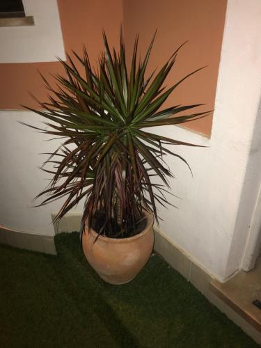 Sun Place Guest House