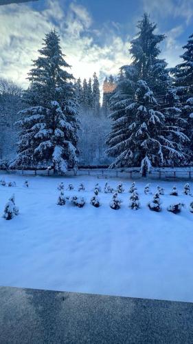 Taverne & Pension Lubenbachtal