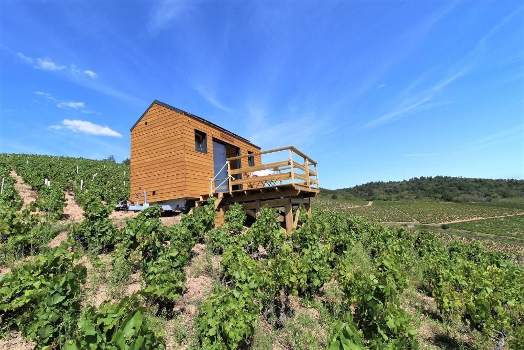Tiny house au cœur du vignoble beaujolais Prion, 69820 Fleurie