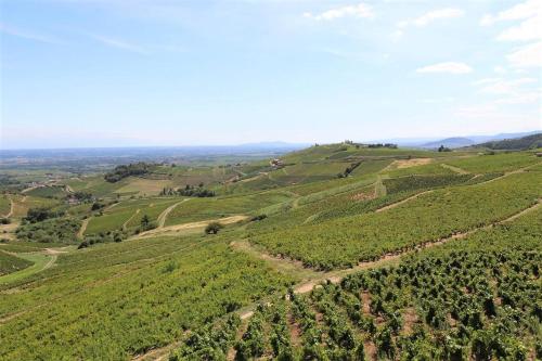 Tiny house au cœur du vignoble beaujolais