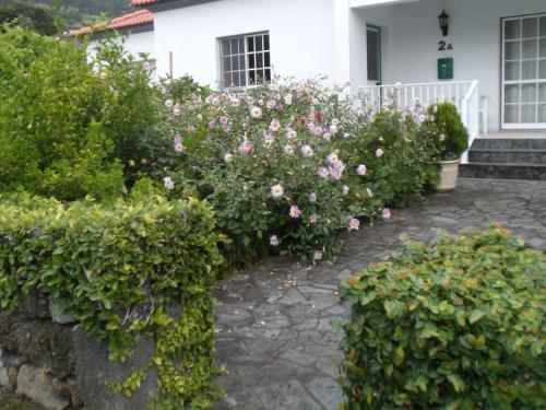Tropical Fruit Garden