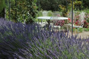 Une Campagne En Provence