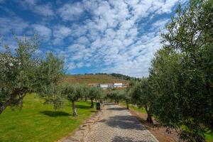 Valonquinta - Agricultura E Turismo De Vila Flor