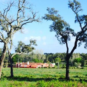 Maison d'hôtes Verdemar Casas Novas 1223 7555-026 Cercal Alentejo