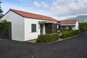 Villa 4 Seasons