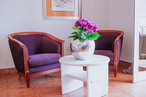 Villa Amore Accommodation