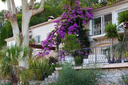 Villa Gloria