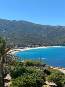 Villa les Palmiers