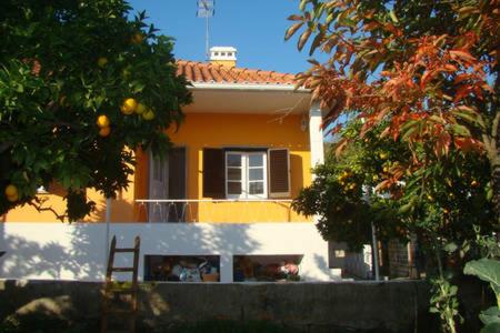 Vivenda tilia