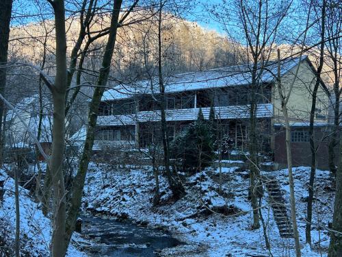 Vor lauter Bäumen B&B