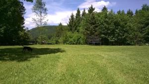 Waldpension Harzer Waldwinkel
