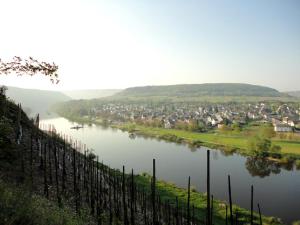 Wein & Wohngut Paulushof