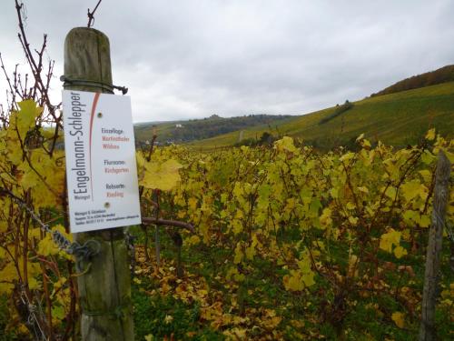 Weingut & Gästehaus Engelmann-Schlepper