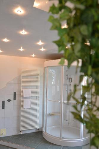 Wolf Hotel zur Linde