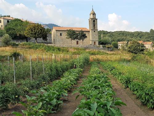 Maison d'Hôtes Zella Bains de Guitera france