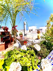 Zenit Guest House