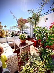 Zenit Guest House